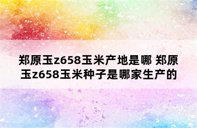 郑原玉z658玉米产地是哪 郑原玉z658玉米种子是哪家生产的